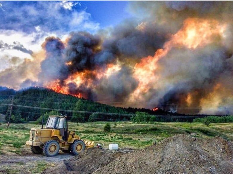 Más de 600 incendios forestales arrasan con gigantesca zona de bosques y viviendas en BC