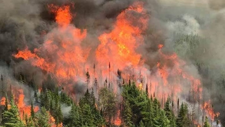Graves incendios forestales arrasan una gigante zona al noreste de Ontario