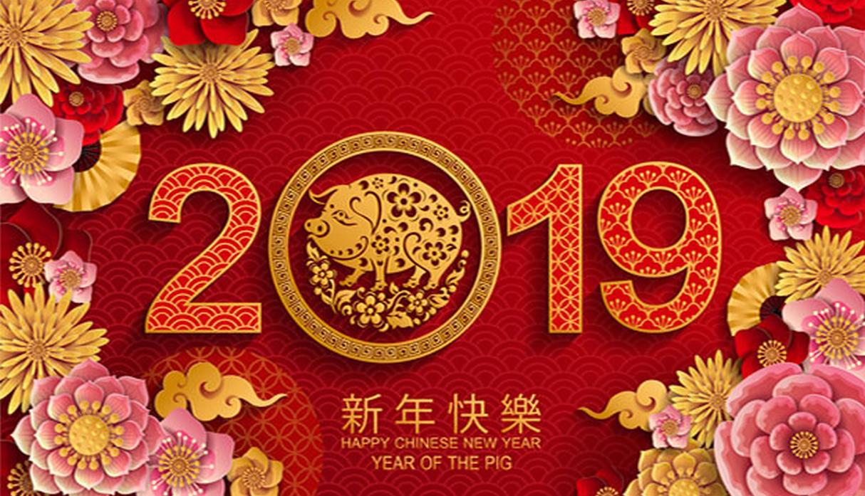 Con buenas predicciones se inicia el Año del Cerdo del calendario Chino 