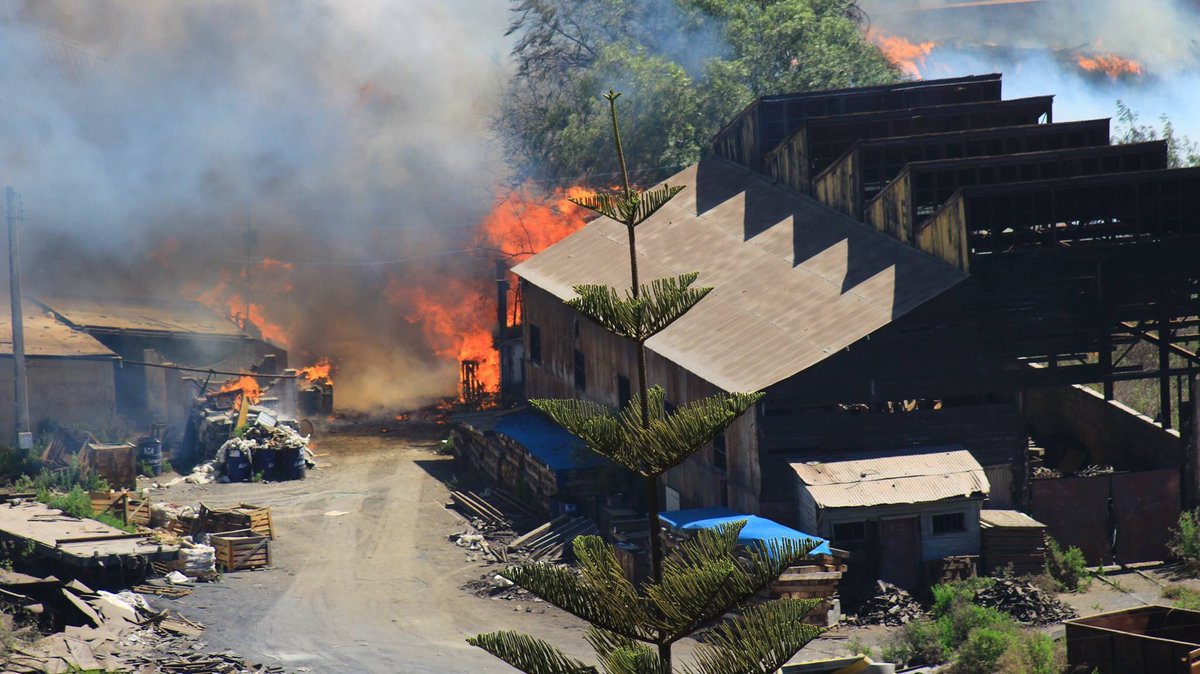 Chile enfrenta el peor desastre natural por incendios forestales 