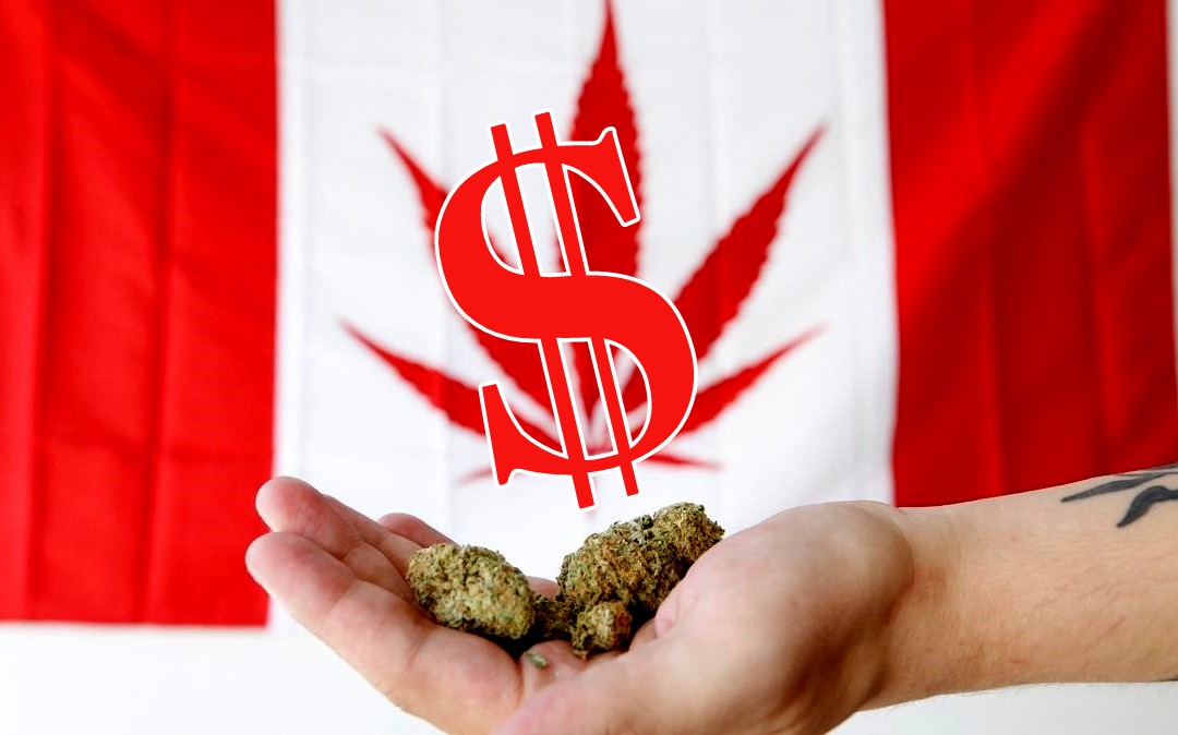 Canada Marihuana