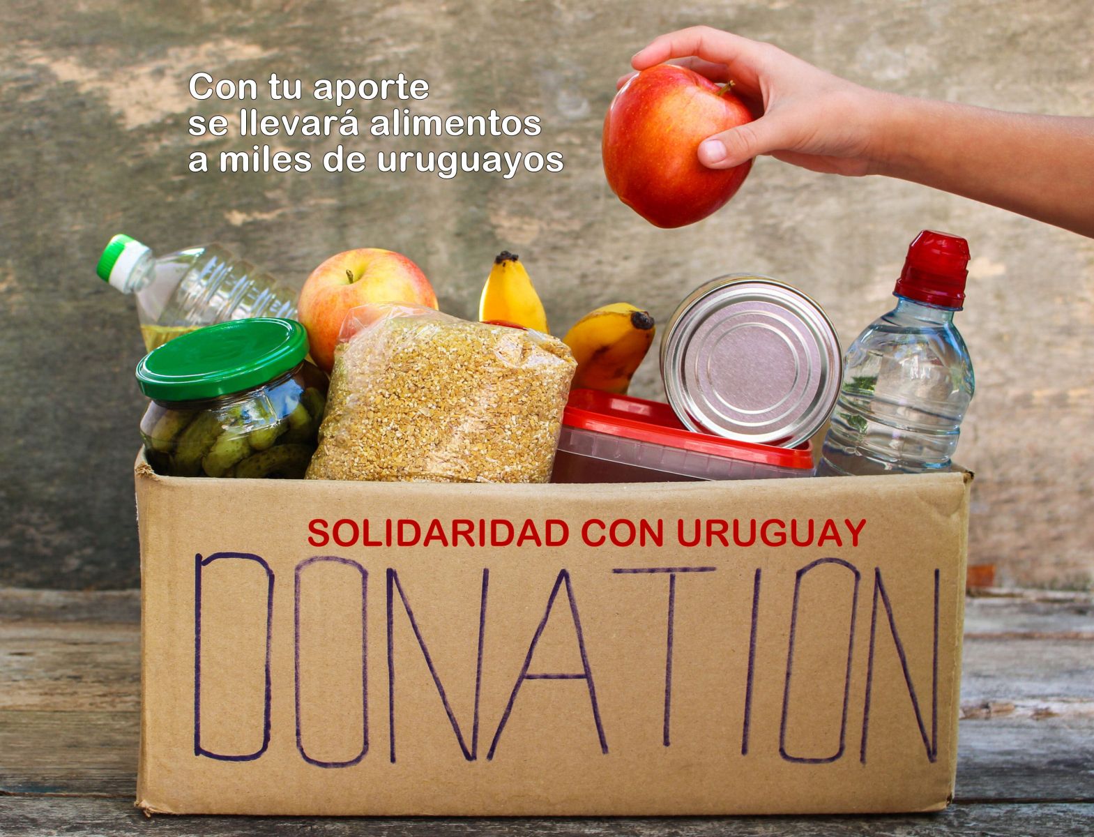 La alimentación de miles de uruguayos depende de tu aporte SOLIDARIO 
