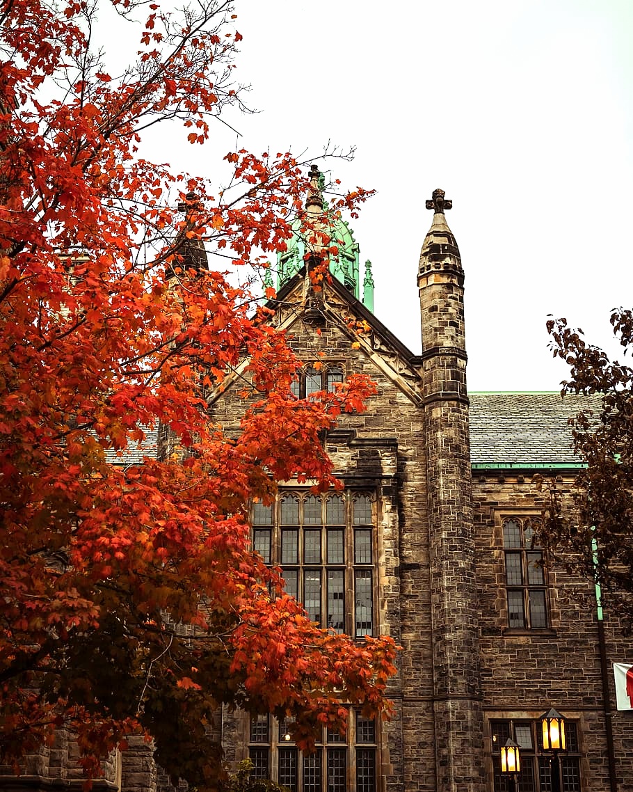 Los 10 mejores lugares para ver el hermoso colorido del otoño en Toronto