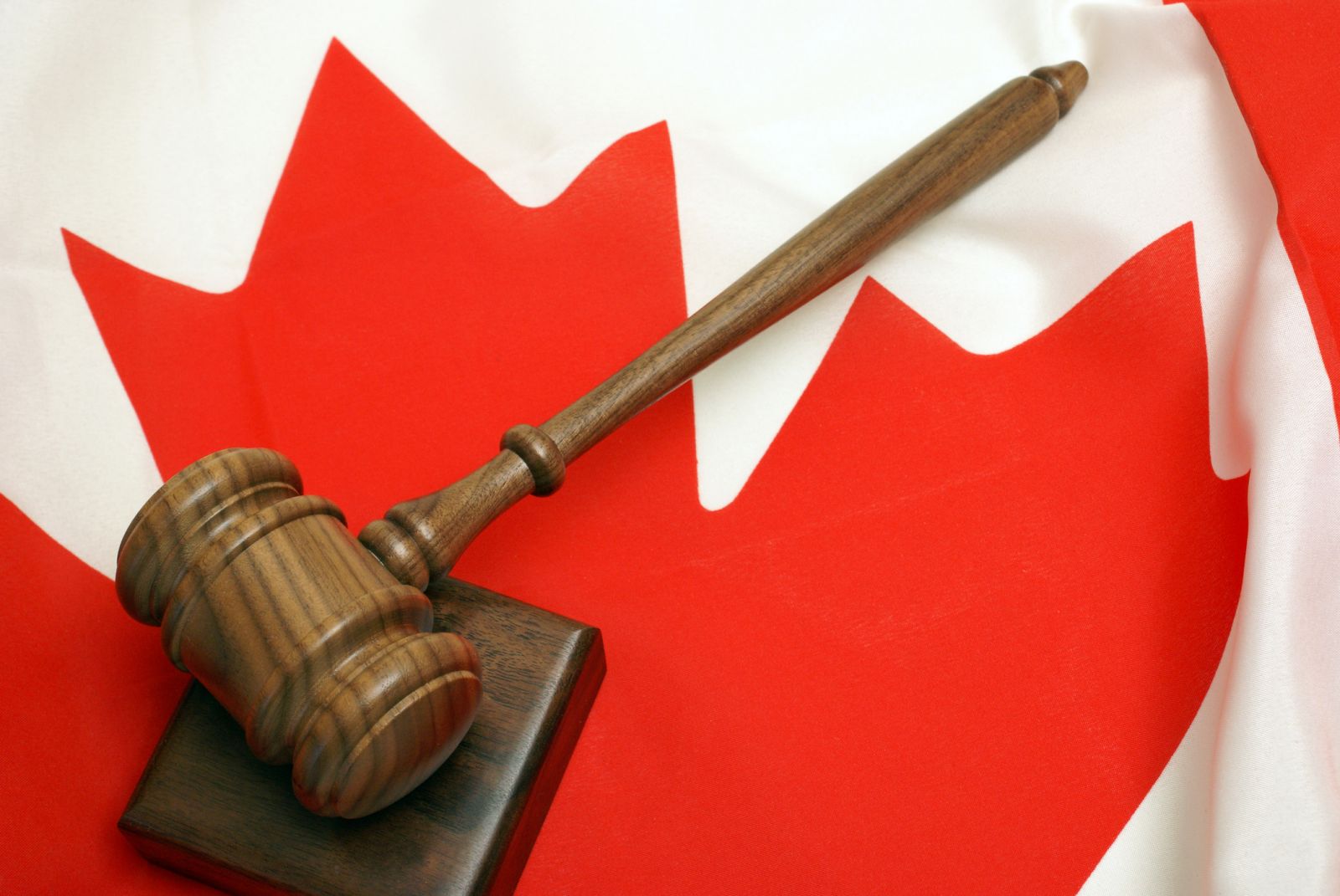 Por engaños a extranjeros, consultores de migración en la mira del Gobierno de Canadá 