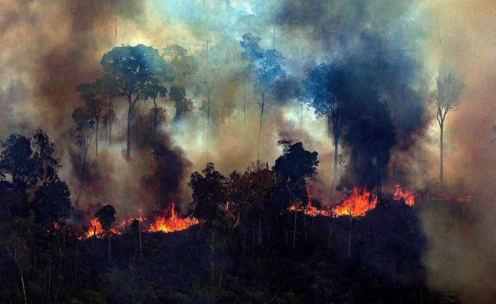 Amazonas se quema, frente a la lenta reacción para salvar el “pulmón del mundo”