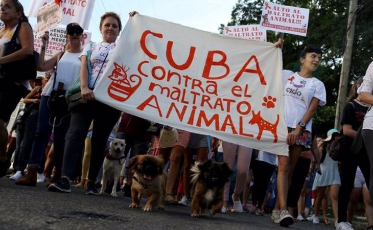 Se realizó una histórica marcha en Cuba, con el permiso del Gobierno  