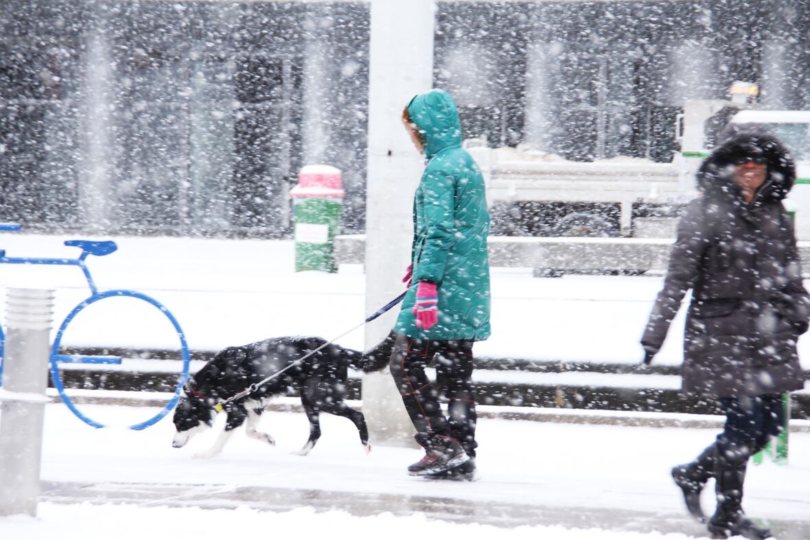Con una fuerte nevada, se le adelantó el invierno a Toronto y sus alrededores 